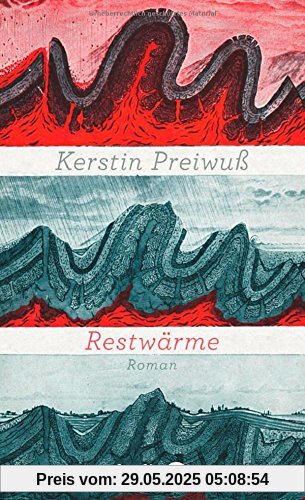 Restwärme: Roman