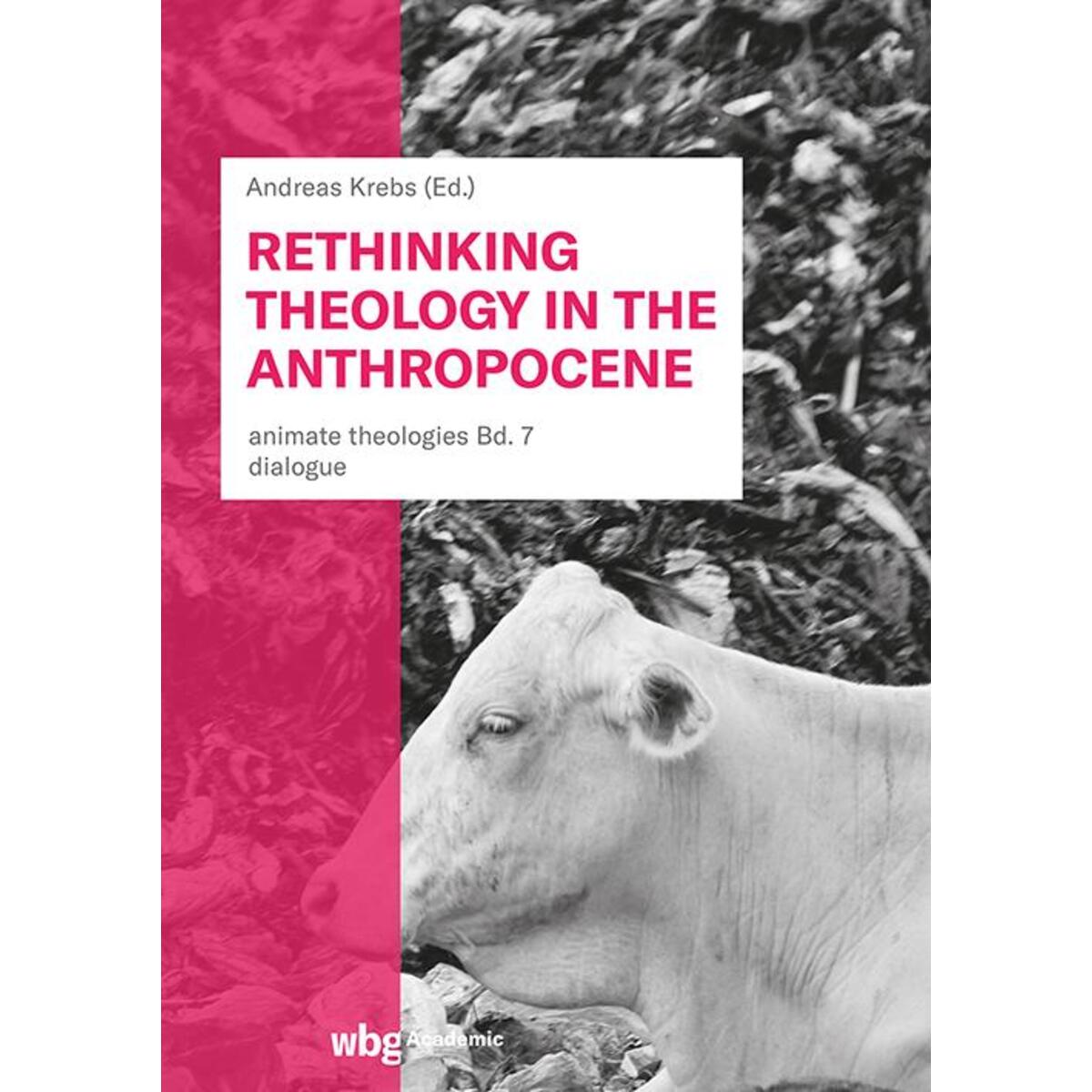 Rethinking Theology in the Anthropocene von Herder Verlag GmbH