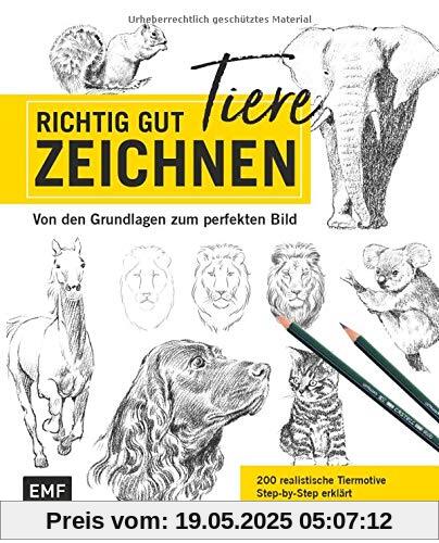 Richtig gut zeichnen – Tiere: Von den Grundlagen zum perfekten Bild – 200 realistische Tiermotive Step by Step erklärt Richtig gut zeichnen – Tiere: Von den Grundlagen zum perfekten Bild – 200 realistische Tiermotive Step by Step erklärt