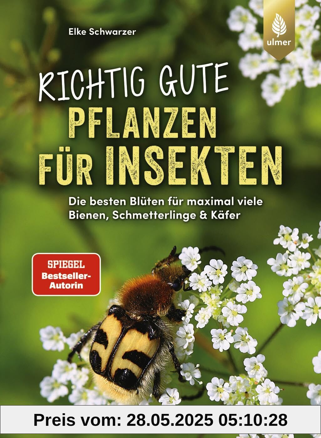 Richtig gute Pflanzen für Insekten: Die besten Blüten für maximal viele Bienen, Schmetterlinge, Schwebfliegen & Käfer im Garten. Mehr Respekt für's Insekt. Richtig gute Pflanzen für Insekten: Die besten Blüten für maximal viele Bienen, Schmetterlinge, Schwebfliegen & Käfer im Garten. Mehr Respekt für's Insekt.