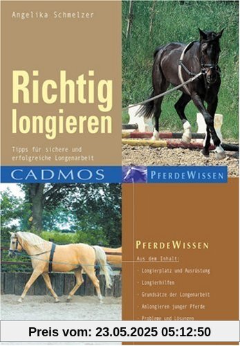 Richtig longieren: Tipps für sichere und erfolgreiche Longenarbeit Richtig longieren: Tipps für sichere und erfolgreiche Longenarbeit
