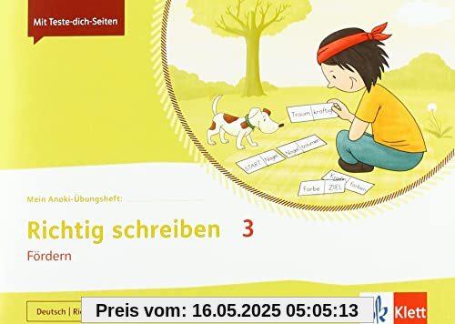 Richtig schreiben 3. Fördern: Übungsheft Klasse 3 (Mein Anoki-Übungsheft)