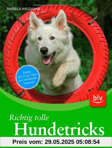 Richtig tolle Hundetricks: die jeder lernen kann Richtig tolle Hundetricks: die jeder lernen kann