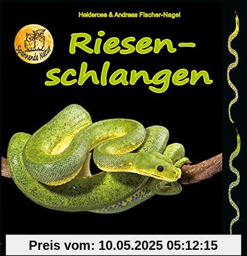 Riesenschlangen (Spannende Natur)