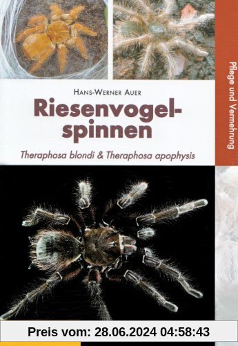 Riesenvogelspinnen: Theraphosa blondi & Theraphosa apophysis. Pflege und Vermehrung
