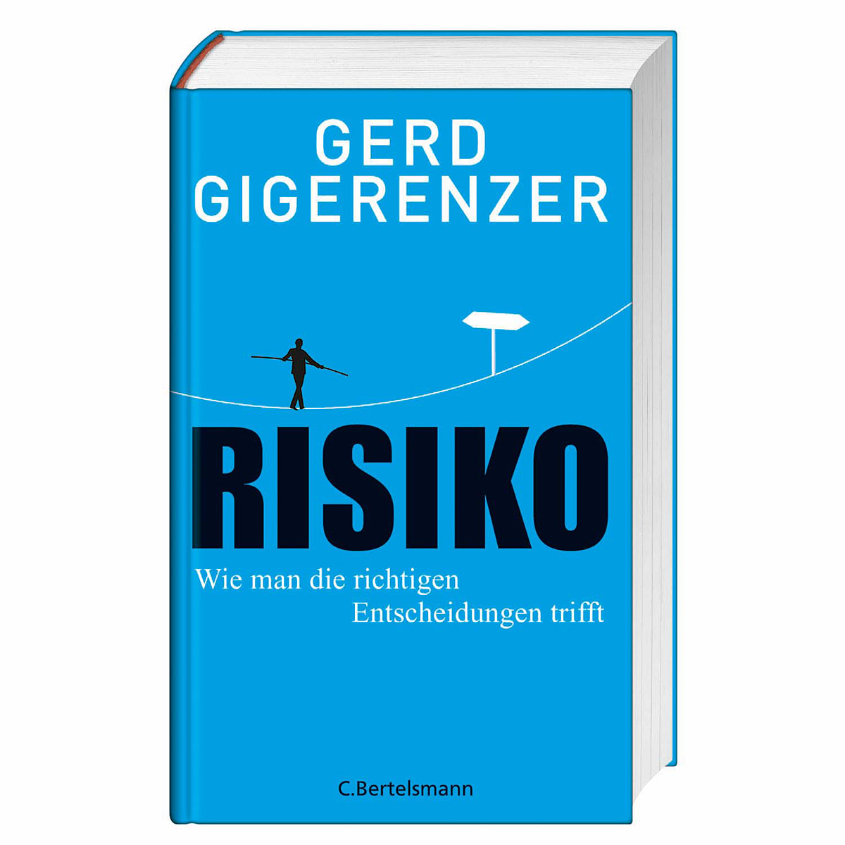 Risiko Risiko von C. Bertelsmann