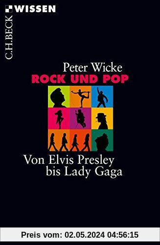 Rock und Pop: Von Elvis Presley bis Lady Gaga (Beck'sche Reihe)