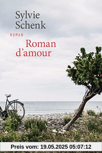 Roman d'amour: Roman