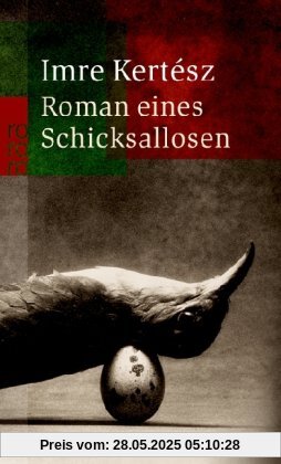 Roman eines Schicksallosen