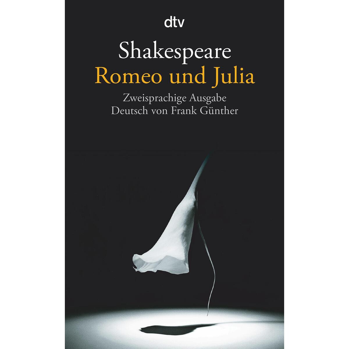 Romeo und Julia von dtv Verlagsgesellschaft