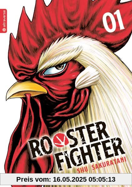 Rooster Fighter 01