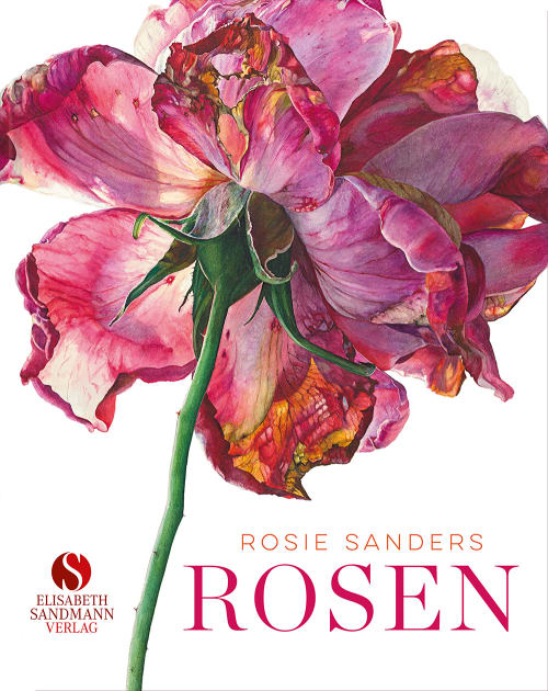 Rosen Rosen von Elisabeth Sandmann Verlag