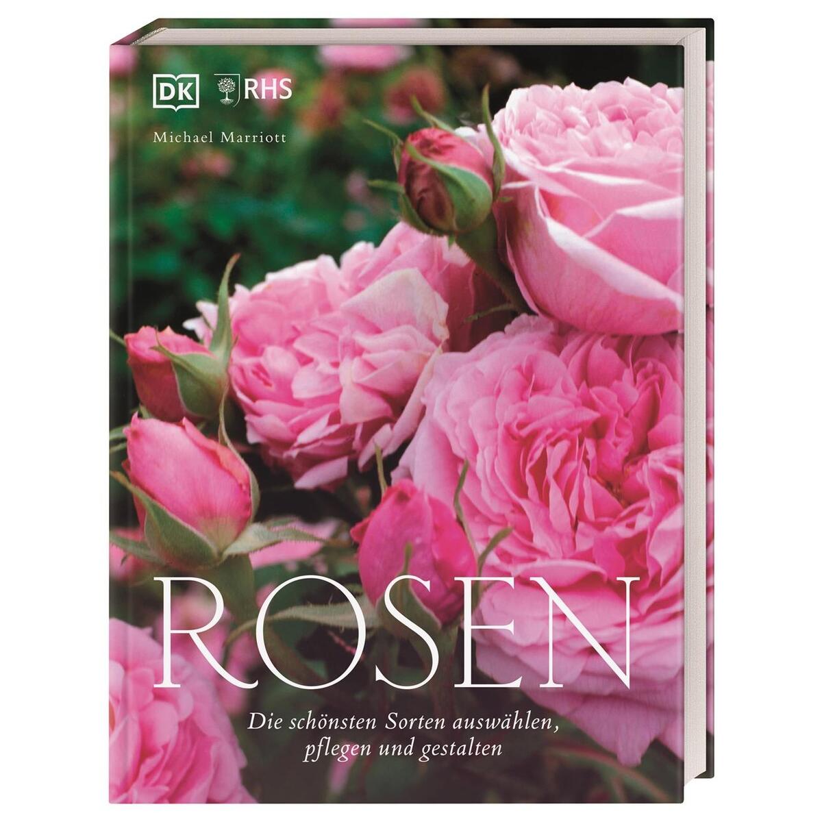 Rosen von Dorling Kindersley Verlag
