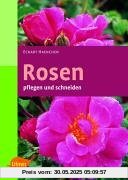 Rosen pflegen und schneiden