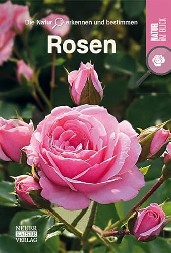 Rosen: Die Natur erkennen und bestimmen - Natur im Blick von Neuer Kaiser