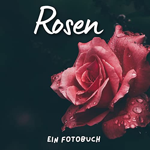 Rosen: Ein Fotobuch. Das perfekte Geschenk für alle Rosenliebhaber von 27 Amigos