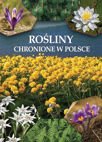 Rośliny chronione w Polsce Rośliny chronione w Polsce von Fenix