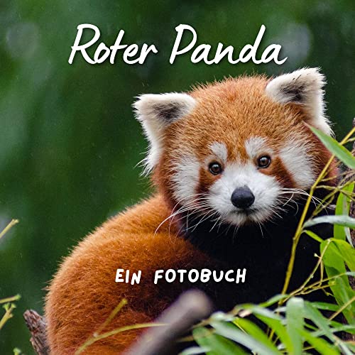 Roter Panda: Ein Fotobuch