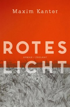 Rotes Licht (eBook, ePUB) von Zsolnay-Verlag