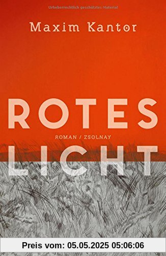 Rotes Licht: Roman Rotes Licht: Roman