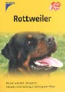 Rottweiler: Wissen, was dem Tier gut tut