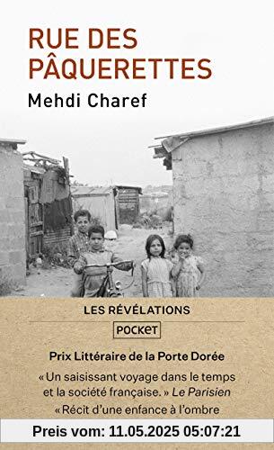 Rue des Pâquerettes (Roman contemporain)
