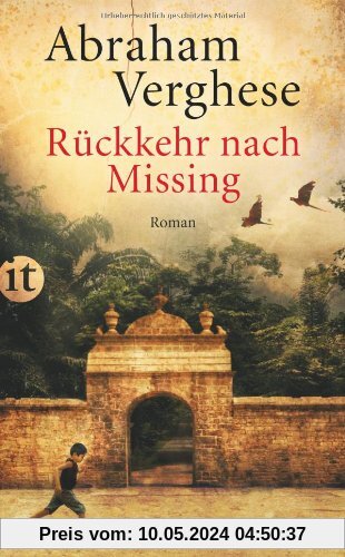 Rückkehr nach Missing: Roman (insel taschenbuch)