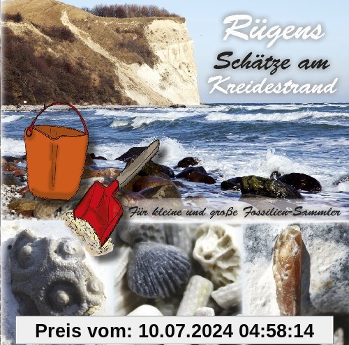 Rügens Schätze am Kreidestrand - für kleine und große Fossiliensammler