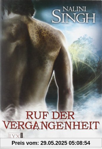 Ruf der Vergangenheit: Roman