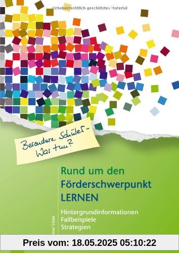 Rund um den Förderschwerpunkt Lernen: Hintergrundinformationen -Fallbeispiele - Strategien für die Sekundarstufe (Besondere Schüler - Was tun?)