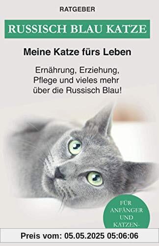 Russisch Blau Katze: Ernährung, Erziehung, Pflege, Charakter und vieles mehr über die Russisch Blau!