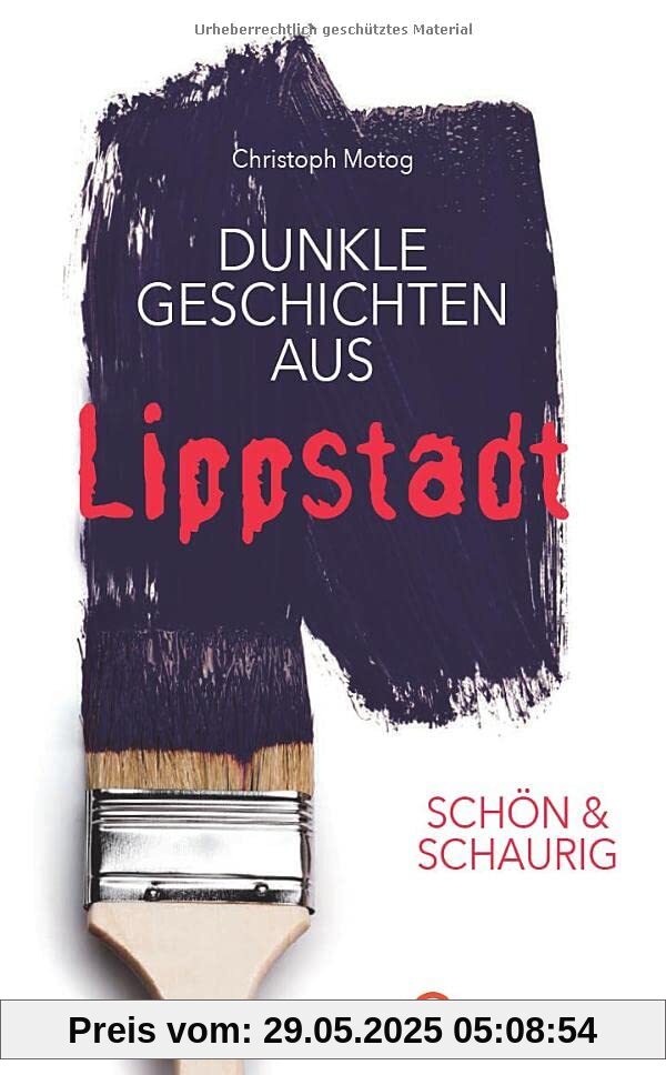 SCHÖN & SCHAURIG - Dunkle Geschichten aus Lippstadt (Geschichten und Anekdoten)