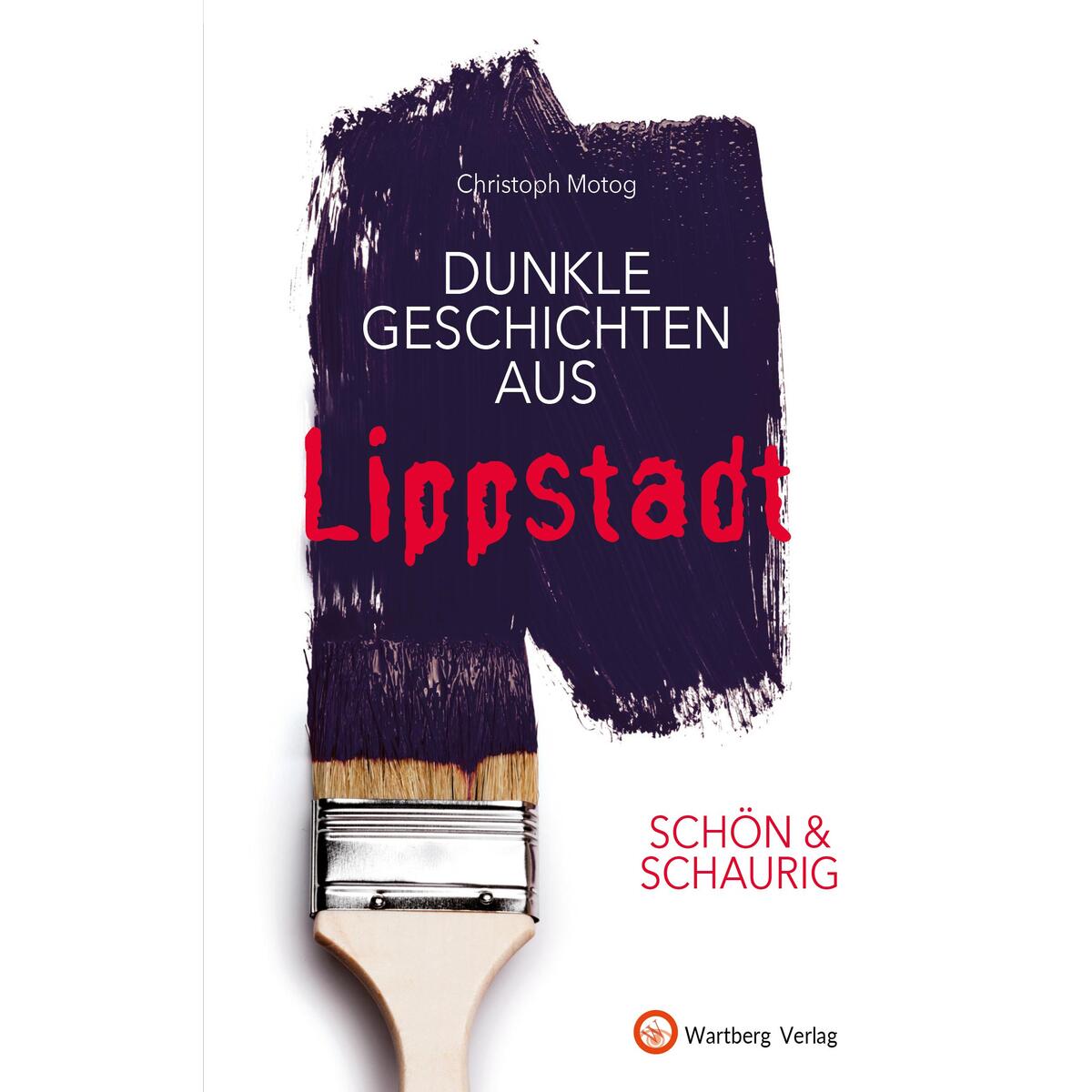 SCHÖN & SCHAURIG - Dunkle Geschichten aus Lippstadt von Wartberg Verlag