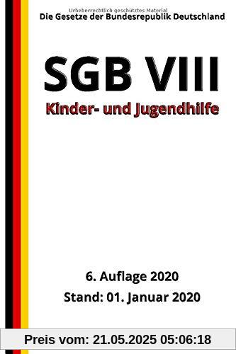 SGB VIII - Kinder- und Jugendhilfe, 6. Auflage 2020