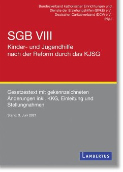 SGB VIII - Kinder- und Jugendhilfe nach der Reform durch das KJSG von Lambertus-Verlag