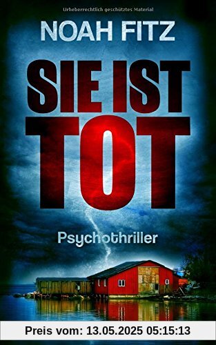 SIE IST TOT (Johannes-Hornoff-Thriller, Band 6)