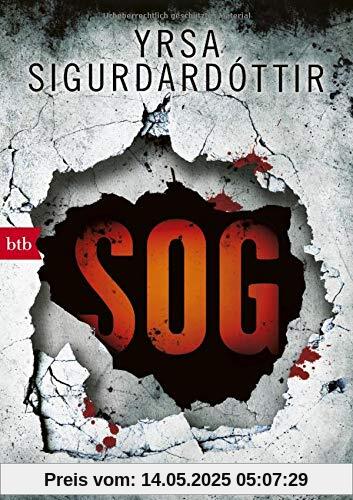 SOG: Thriller (Kommissar Huldar und Psychologin Freyja, Band 2)