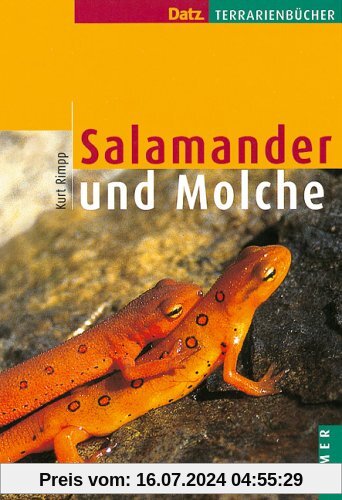 Salamander und Molche