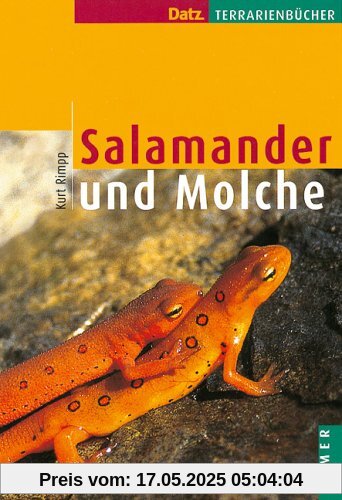 Salamander und Molche