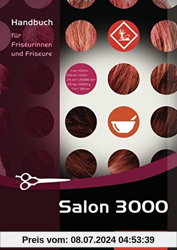 Salon 3000: Handbuch für Friseurinnen und Friseure: 1. Auflage, 2013