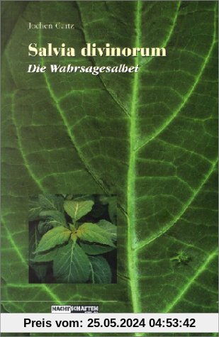 Salvia Divinorum - Der Wahrsagesalbei