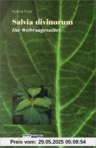 Salvia Divinorum - Der Wahrsagesalbei Salvia Divinorum - Der Wahrsagesalbei
