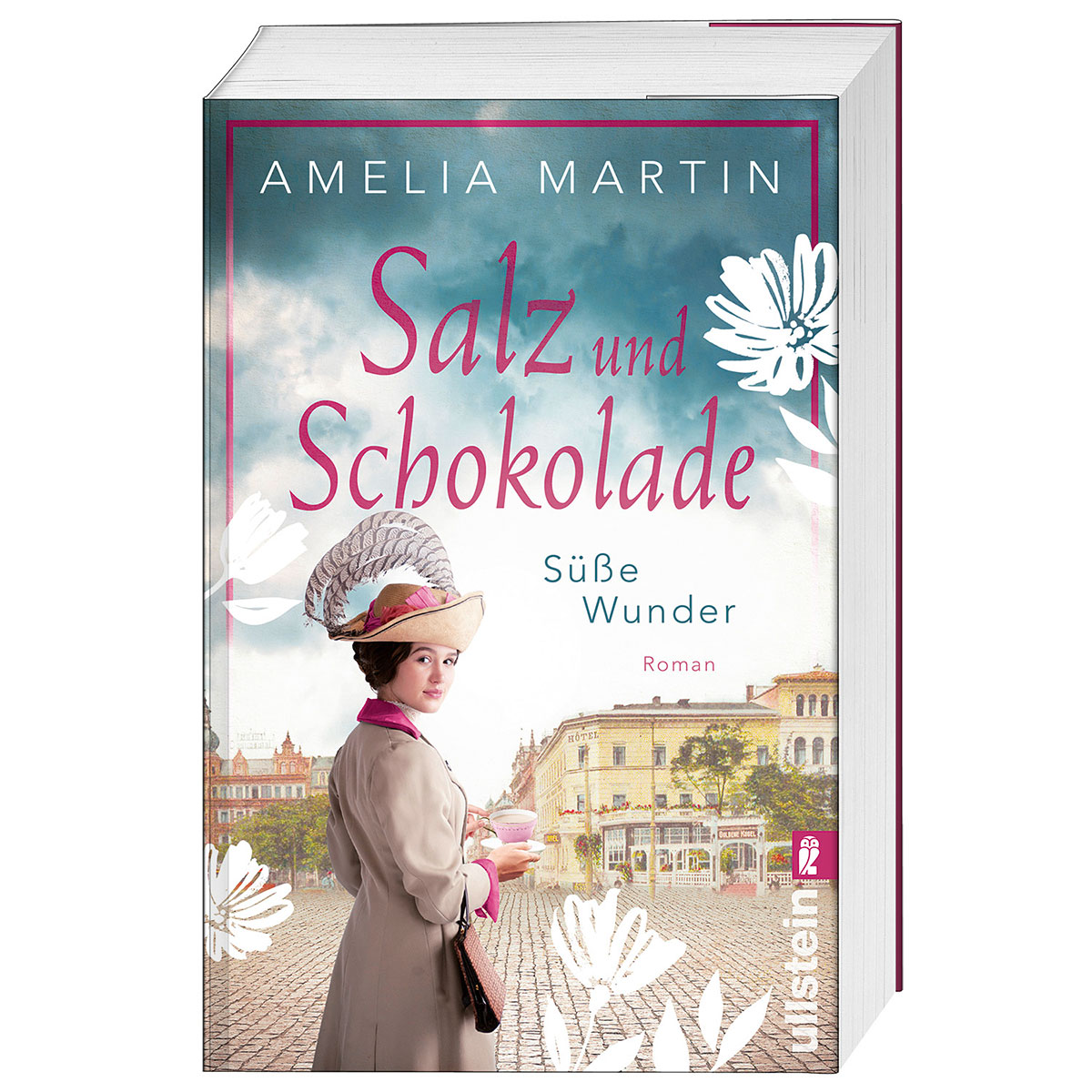 Salz und Schokolade von Ullstein Taschenbuchvlg.