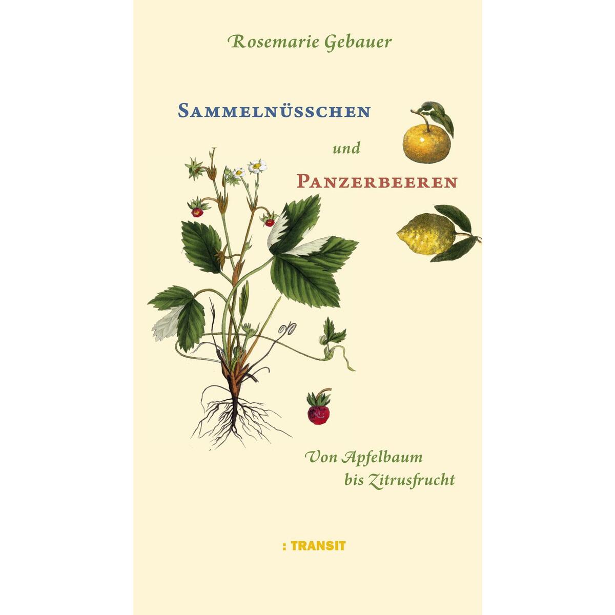 Sammelnüsschen und Panzerbeeren von Transit Buchverlag GmbH