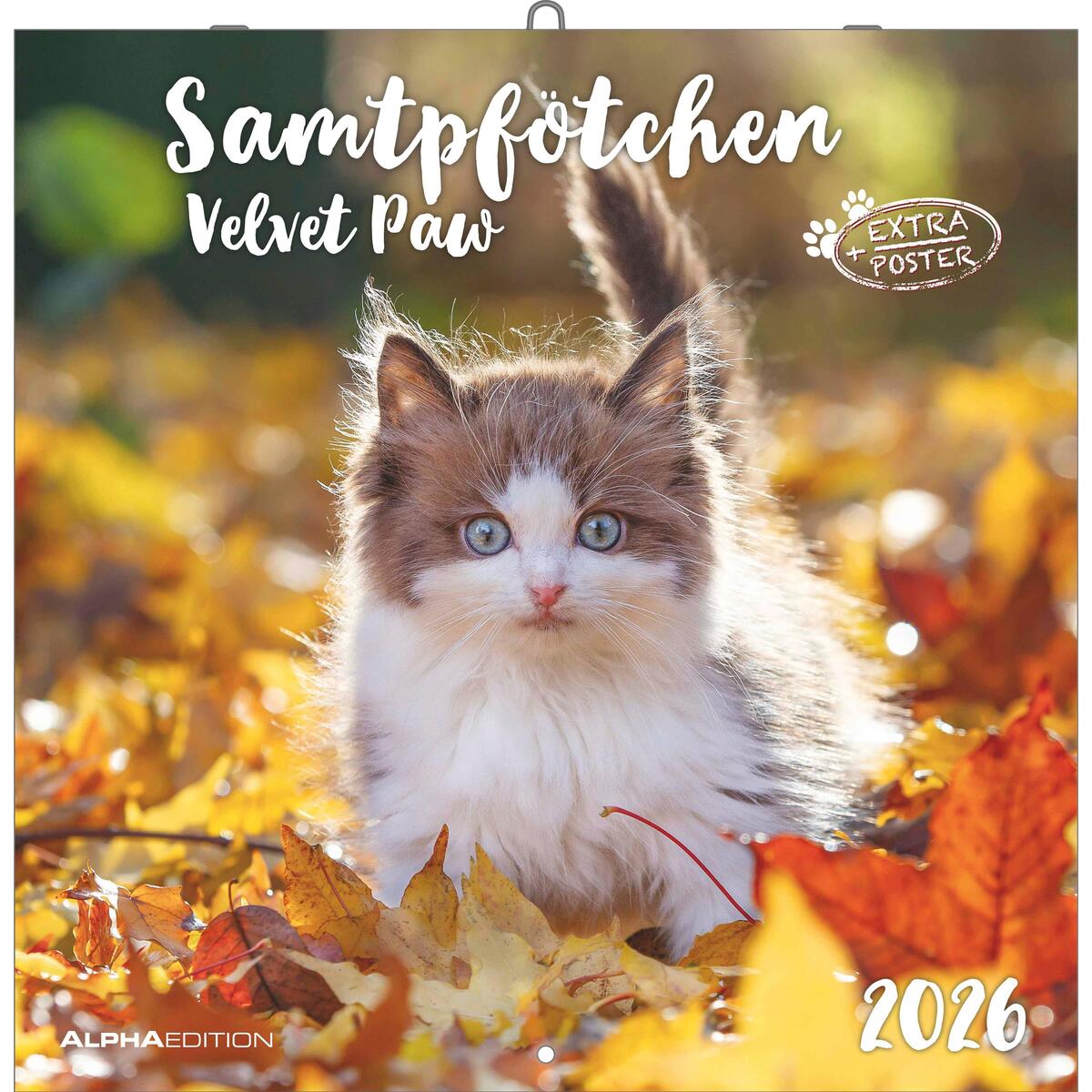 Samtpfötchen 2026 - Broschürenkalender 30x30 cm (30x60 geöffnet) - Kalender mit ... von Neumann Verlage GmbH & Co