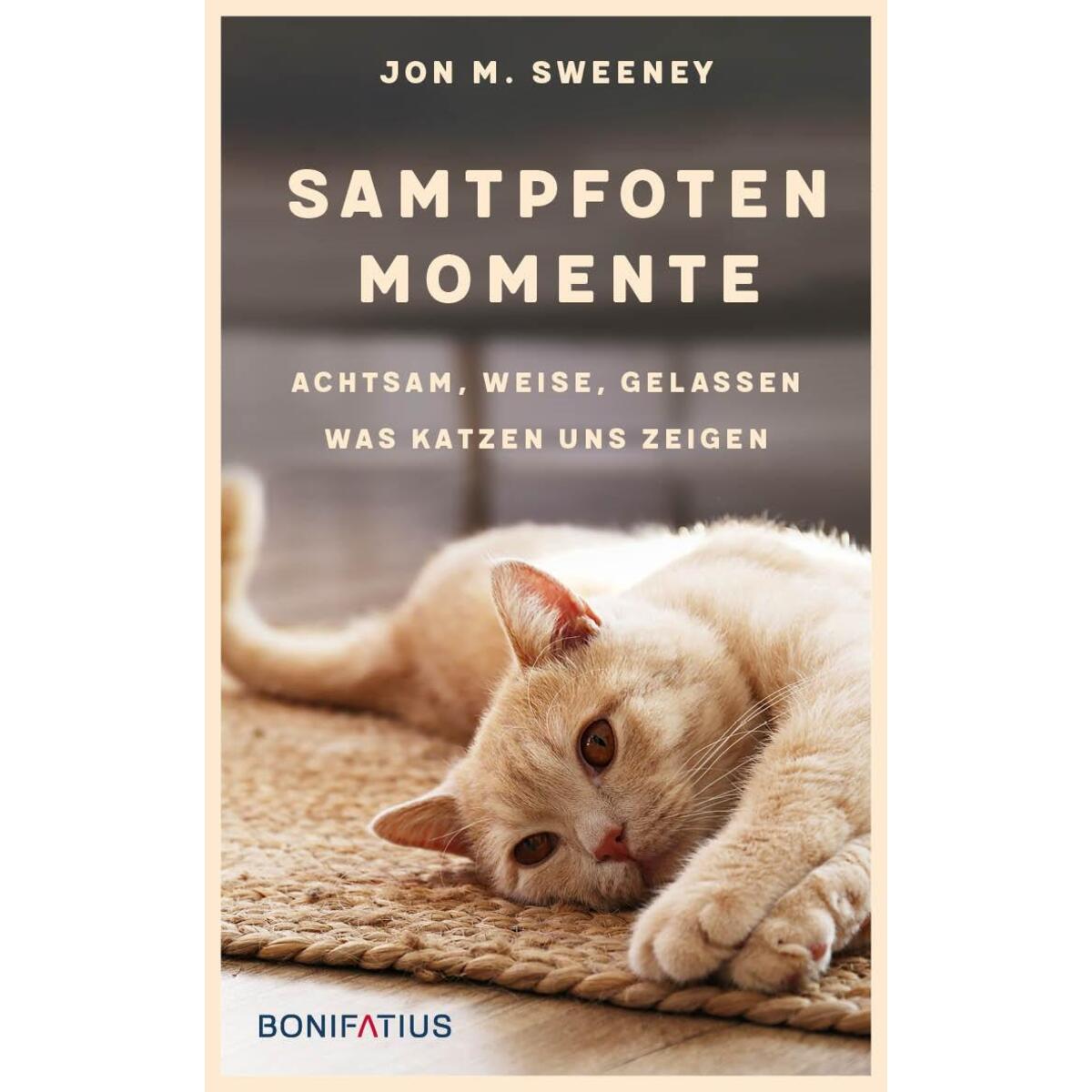 Samtpfotenmomente Samtpfotenmomente von Bonifatius GmbH