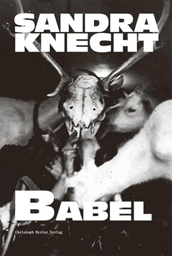 Sandra Knecht - Babel Sandra Knecht - Babel von Christoph Merian Verlag