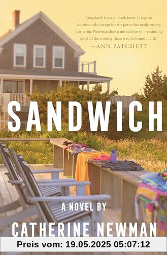 Sandwich: A Novel
