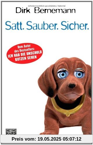 Satt. Sauber. Sicher.: Roman: So dumm kommen wir nicht wieder zusammen Satt. Sauber. Sicher.: Roman: So dumm kommen wir nicht wieder zusammen