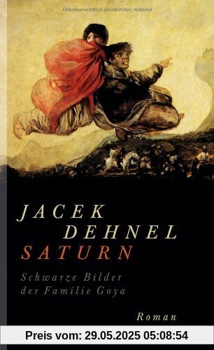 Saturn. Schwarze Bilder der Familie Goya: Roman